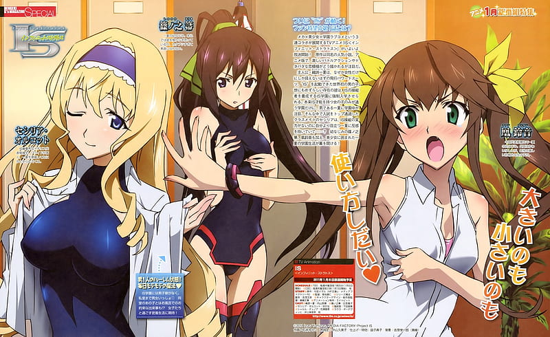 File:Cosplayers of Infinite Stratos Heroines Group in CWT39 20150301s.jpg -  Wikimedia Commons