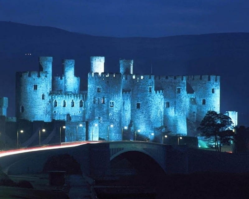 Royal castle, Castle, bridge, Royal, trees, blue, night, HD wallpaper