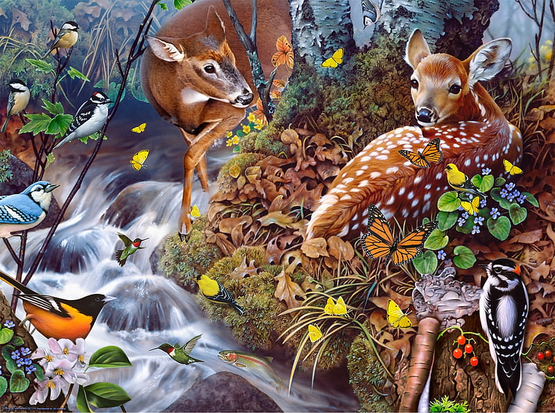 Fawn song, deer, animal, art, forest, fawn, jerry gadamus, cute, water, bird, source, painting, pictura, HD wallpaper