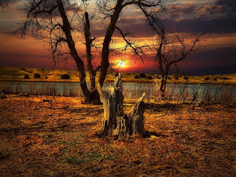 Prairie Sunset, tree, river, bonito, sunset, trunk, North Dakota, sky, Wildlife refuge, HD wallpaper