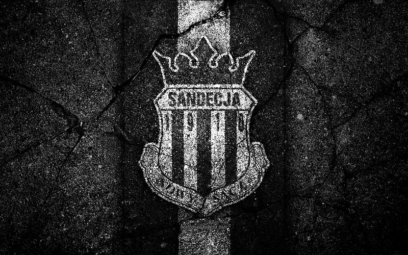 Sandecja Nowy FC logo, Ekstraklasa, soccer, football, black stone, Poland, Sandecja Nowy, football club, asphalt texture, FC Sandecja Nowy, HD wallpaper