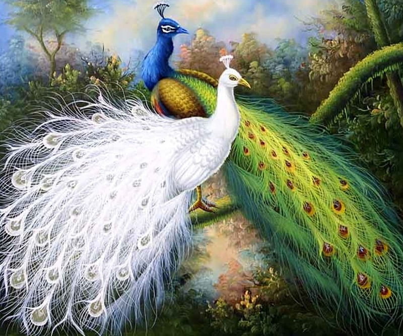 HD white peacock wallpapers | Peakpx