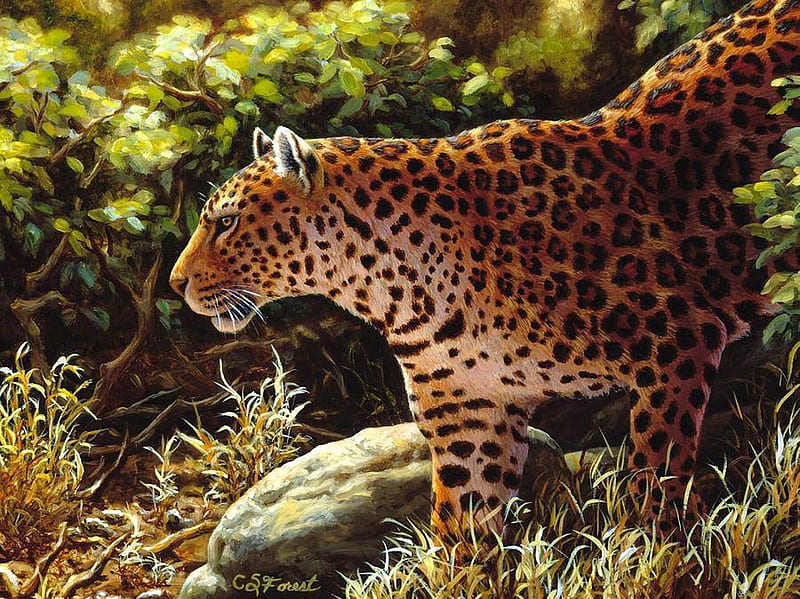 On the Prowl, leopard, predator, painting, cat, artwork, HD wallpaper