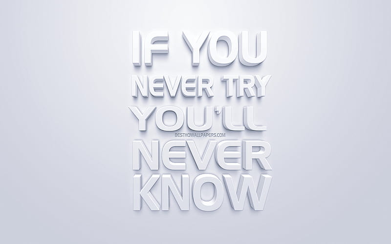 If you never try you will never know, white 3d art, popular quotes, white background, inspiration quotes, HD wallpaper