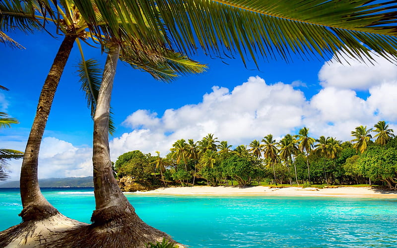 Tropical Paradise, beach, vacation, paradise, ocean, summer, tropical ...