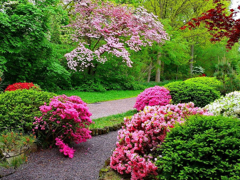 Lovely place in park, springtime, spring, park, trees, parks, green,  plants, HD wallpaper | Peakpx