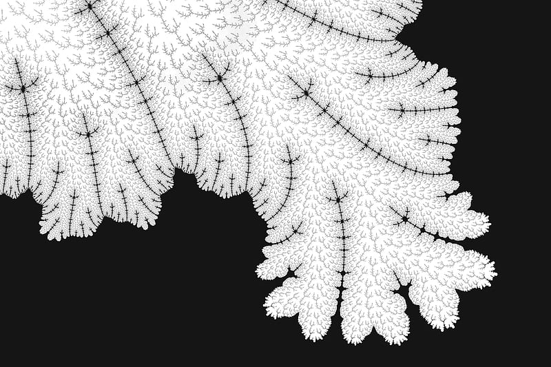 Abstract Leaf Tree Pattern, abstract, leaf, black-and-white, behance, HD wallpaper