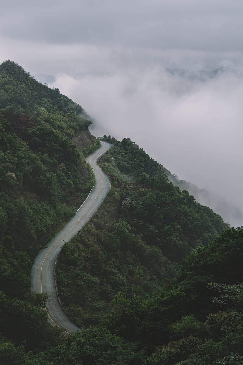 mountains, road, fog, forest, slope, height, HD phone wallpaper