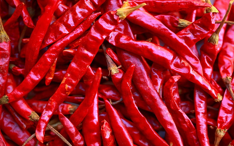 dried peppers, hot, dried, peppers, chili, HD wallpaper