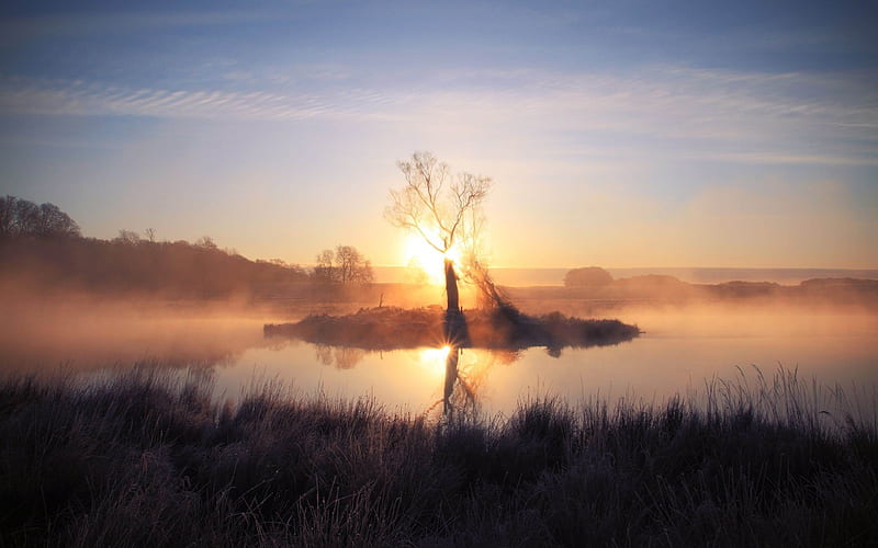 tree sunset evening-Nature, HD wallpaper