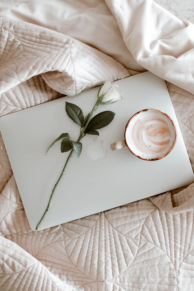 macbook, coffee, cup, rose, cloth, HD phone wallpaper