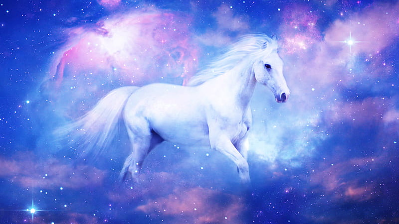 White Horse With Background Of Colorful Clouds And Glittering Stars Horse, HD wallpaper