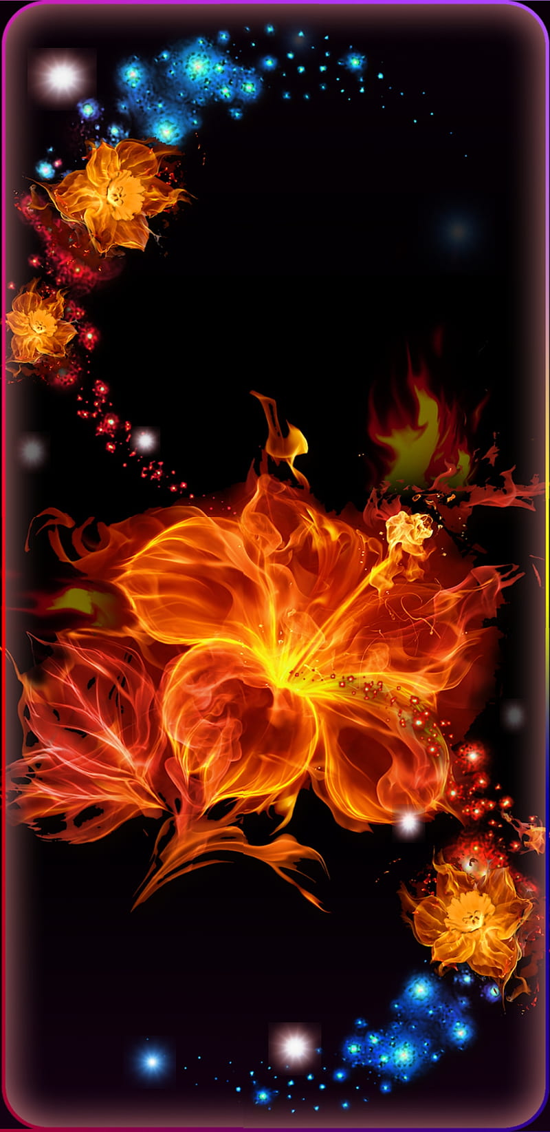 Flaming hibiscus, fire, flame, flower, flowers, HD phone wallpaper