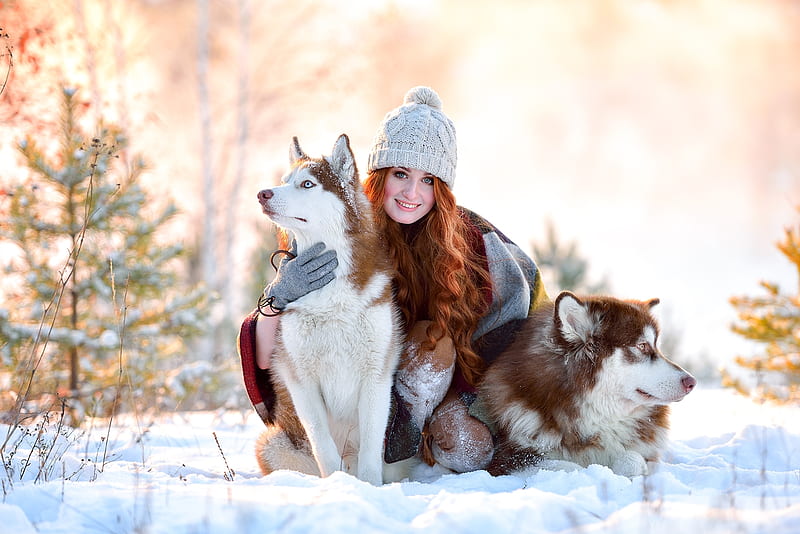 Girl In Snow With Siberian Husky, siberian-husky, animals, dog, girls, snow, redhead, HD wallpaper