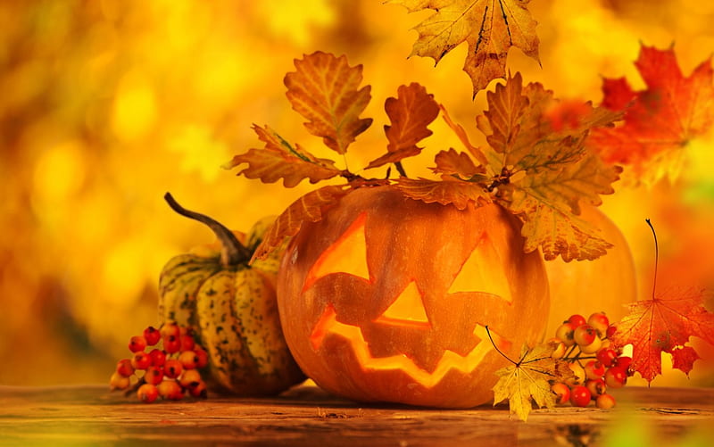 Autumn-Pumpkin, autumn, halloween, wooden table, still life, leaves, bokeh, berries, pumpkin, candle light, HD wallpaper