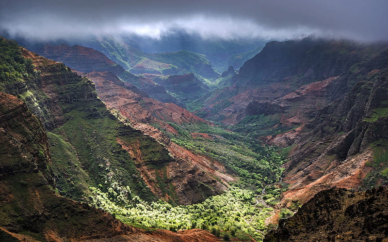 Waimea Canyon State Park, Kauai, Hawaiian Islands, mountain valley, mountain landscape, forest, USA, HD wallpaper
