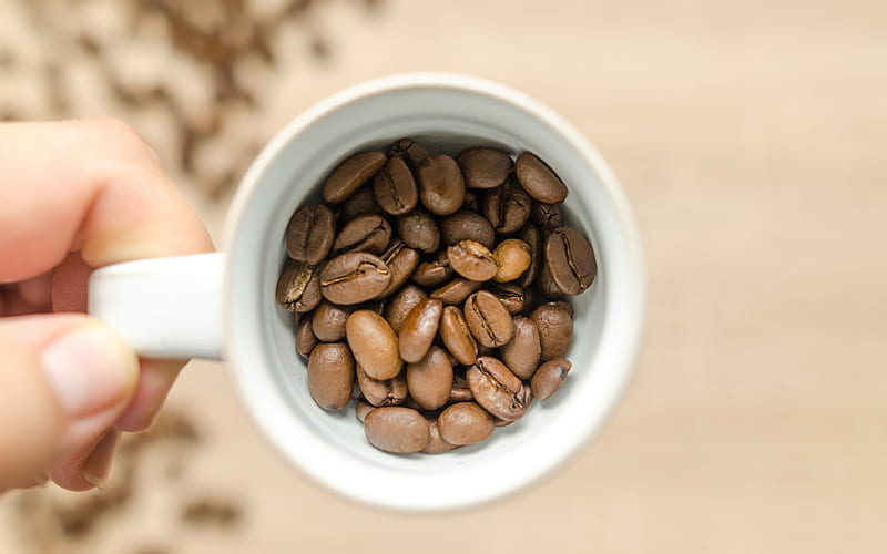 Aroma Aromatic Beans Brown Caffeine Closeup, HD wallpaper
