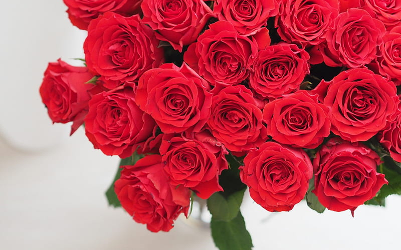 red roses, rosebuds, red bouquet, beautiful flowers, roses, romance, HD wallpaper