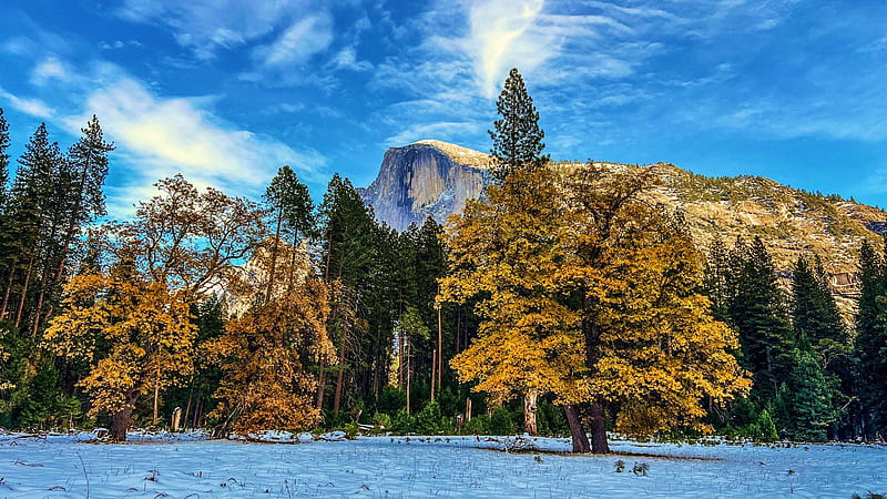 Half Dome and fall colors, california, snow, landscape, trees, autumn, rocks, yosemite, usa, HD wallpaper