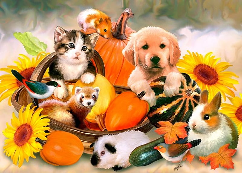 By Howard Robinson, art, sunflower, cat, animal, pumpkin, painting, flower, bunny, kitten, howard robinson, puppy, dog, HD wallpaper