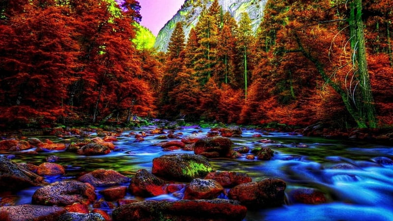 Colorful Autumn, forest, autumn, water, stone, mountains, nature, trees ...