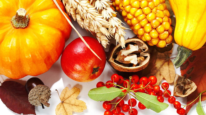 Thanksgiving Harvest, apple, corn, fall, autumn, harvest, maze, s squash, nuts, leaves, Thanksgiving, berries, HD wallpaper