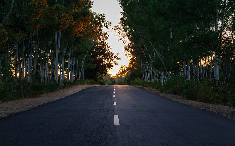 Evening Ultra, Nature, Landscape, Travel, Sunset, Trees, Road, Along, Evening, Straight, straight ahead, HD wallpaper