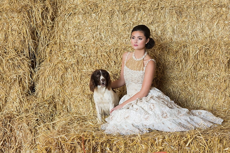 Beauty, girl, model, caine, bride, hay, woman, dog, HD wallpaper