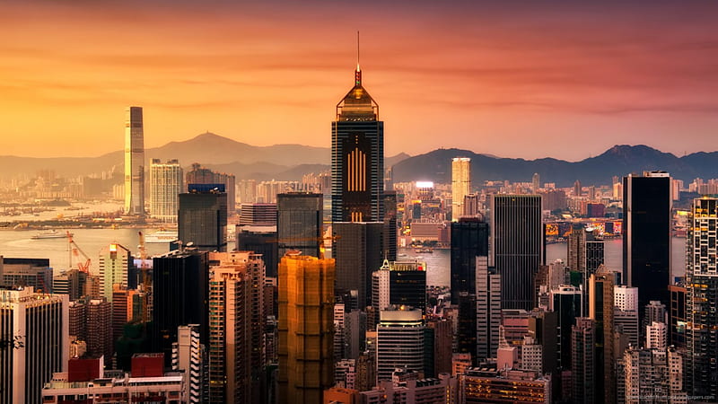 beautiful hong kong at sundown, sunset, city, bay, skyscrapers, HD wallpaper