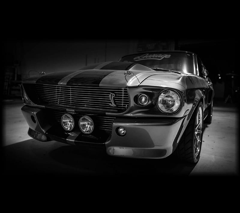 Mustang, HD wallpaper | Peakpx