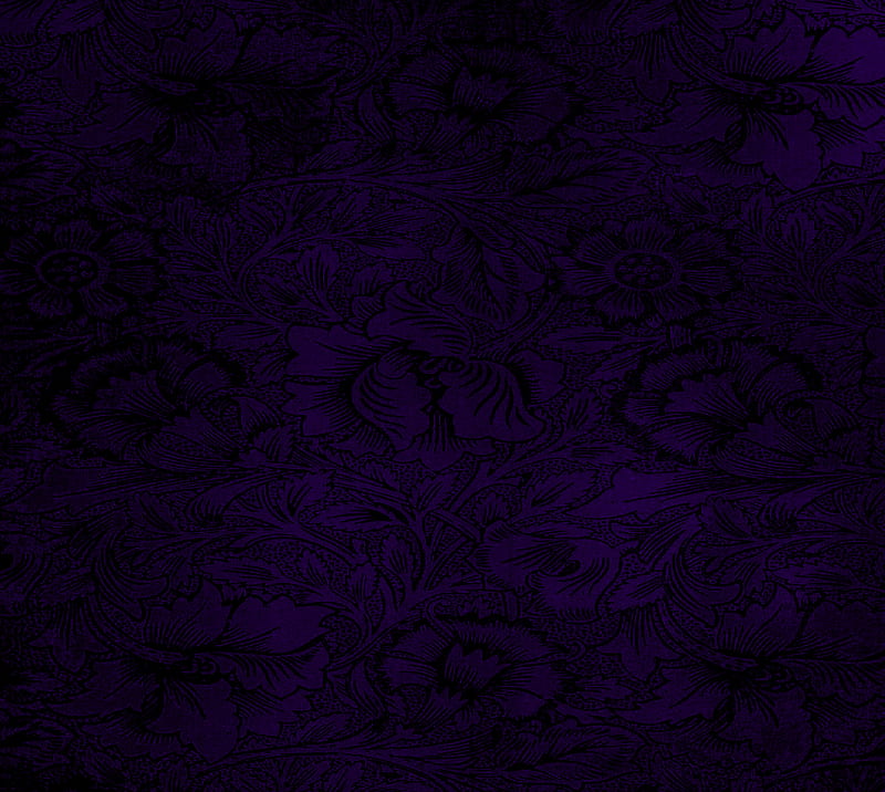 Purple, purple, HD wallpaper | Peakpx