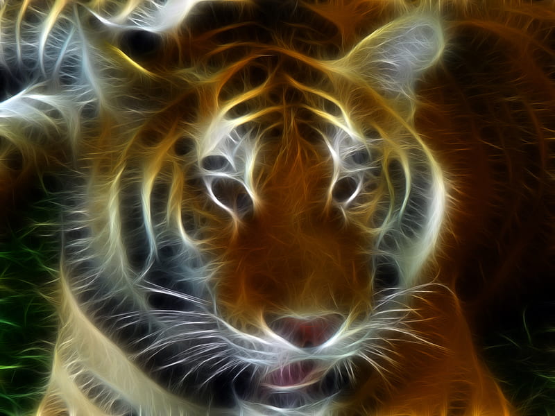 Tiger, art, cool, animals, HD wallpaper | Peakpx