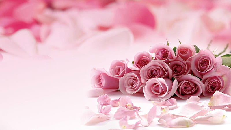 Pink Roses, cute, Pink, romantic, batch, roses, HD wallpaper