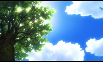 Blue Sky, scenic, sunray, plant, shine, above, bonito, green, beauty, scenery, HD wallpaper | Peakpx Blue Sky, scenic, sunray, plant, shine, above, bonito, green, beauty, scenery, HD wallpaper | Peakpx