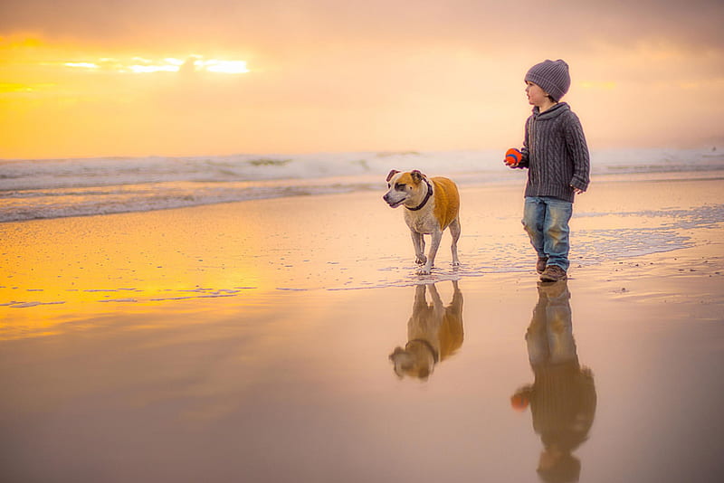 Boy and dog, pretty, lovely, bonito, animal, sweet, cute, puppys, animals, dogs, puppy, dog, HD wallpaper