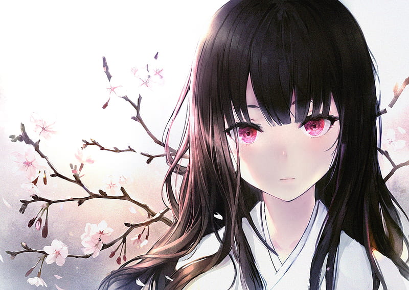 Anime girl, black hair, pink eyes, kimono, cherry blossom, Anime, HD  wallpaper | Peakpx