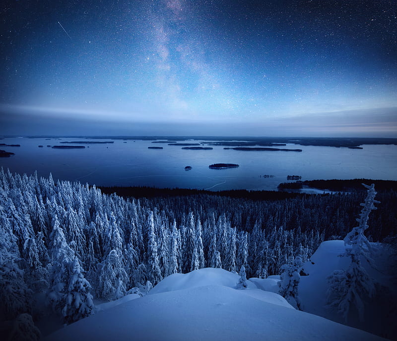 koli national park, snow, winter, milky way, starry sky, finland, Landscape, HD wallpaper
