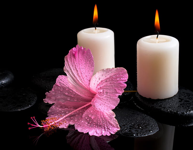 Spa, Water, Hibiscus, Candles, Stones, HD wallpaper