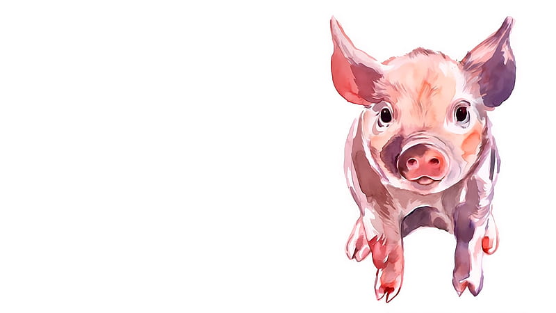 Piglet, art, pig, child, porc, white, pink, animal, HD wallpaper