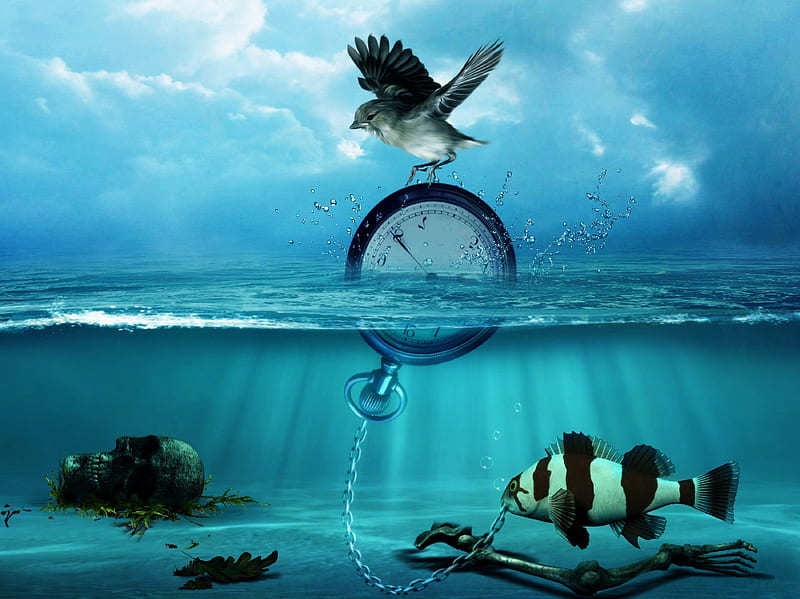 'Blue Conceptual', underwater, oceans, fish, conceptual, love four seasons, clock, softness beauty, attractions in dreams, creative pre-made, digital art, sky, clouds, bird, manipulation, blue conceptual, backgrouds, HD wallpaper