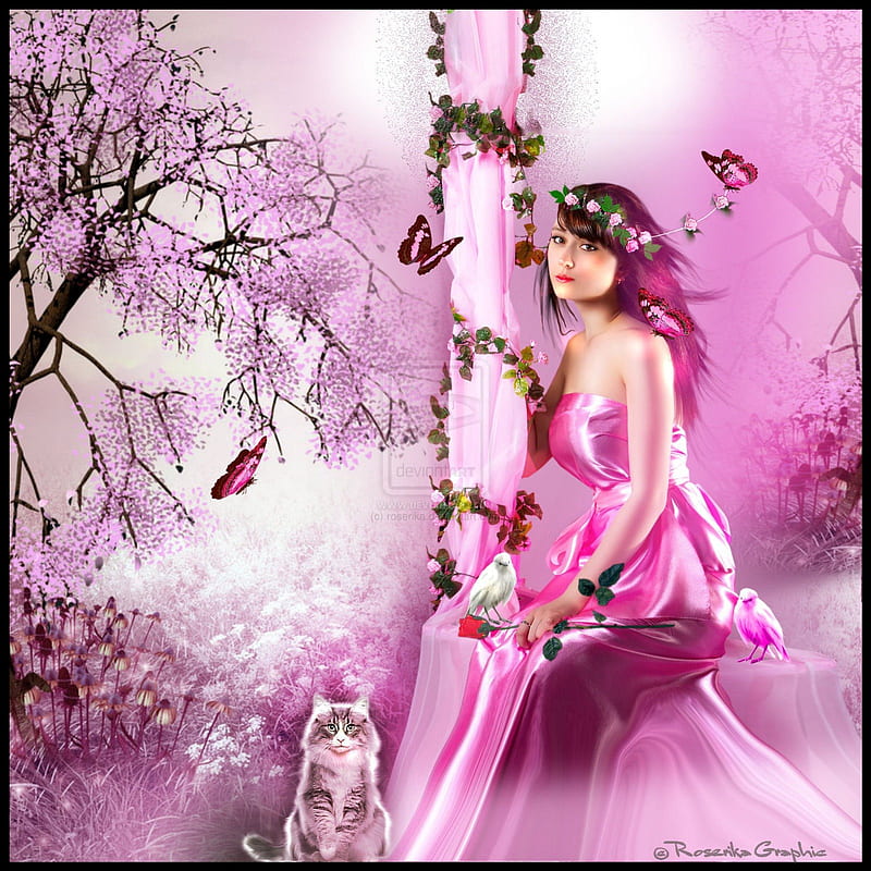 ★Like a Pink Dolly★, pretty, wonderful, curtain, adorable, women, sweet, fantasy, manipulation, friendship, love, emotional, flowers, face, lovely, models, birds, abstract, lips, trees, cat, softness, cool, fond, crown, hop, eyes, colorful, dress, bonito, digital art, hair, emo, leaves, gentle, people, girls, pink, animals, amazing, female, colors, butterflies, roses, bird, magical, tender touch, dolly, HD wallpaper