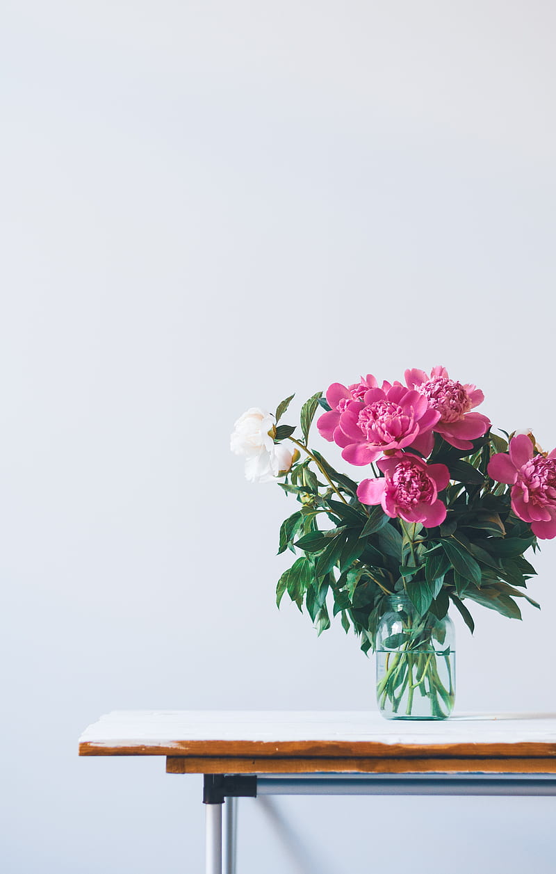 pink flowers in glass vase, HD phone wallpaper