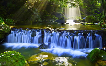 JUNGLE PARADISE, forest, sunlight, nature, river, waterfalls, HD wallpaper  | Peakpx