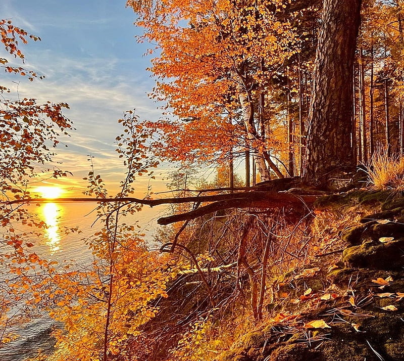 autumn idyll, autumn, nature, idyll, scene, HD wallpaper