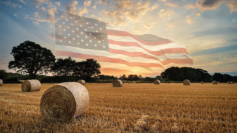 Beautiful America . ., field, flag, americana, hay bales, trees, outdoors, HD wallpaper