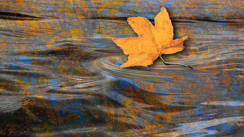 Reflexiones pasadas, otoño, otoño, Firefox Persona, hoja, hojas, agua,  color, Fondo de pantalla HD | Peakpx