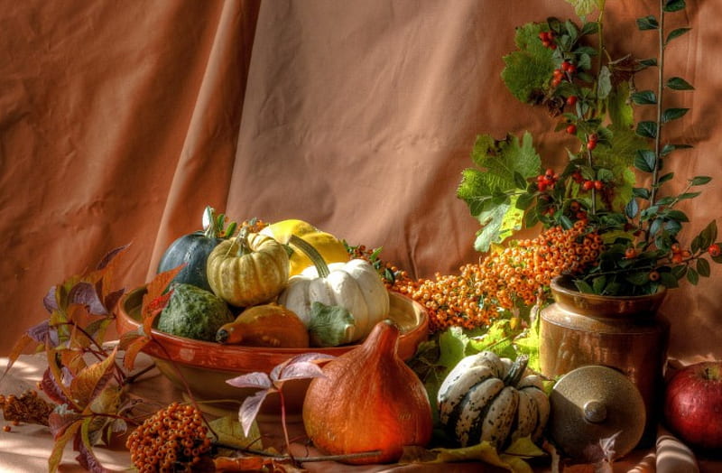 Pumpkins, fall, still life, autumn, graphy, food, pumpkin, HD wallpaper