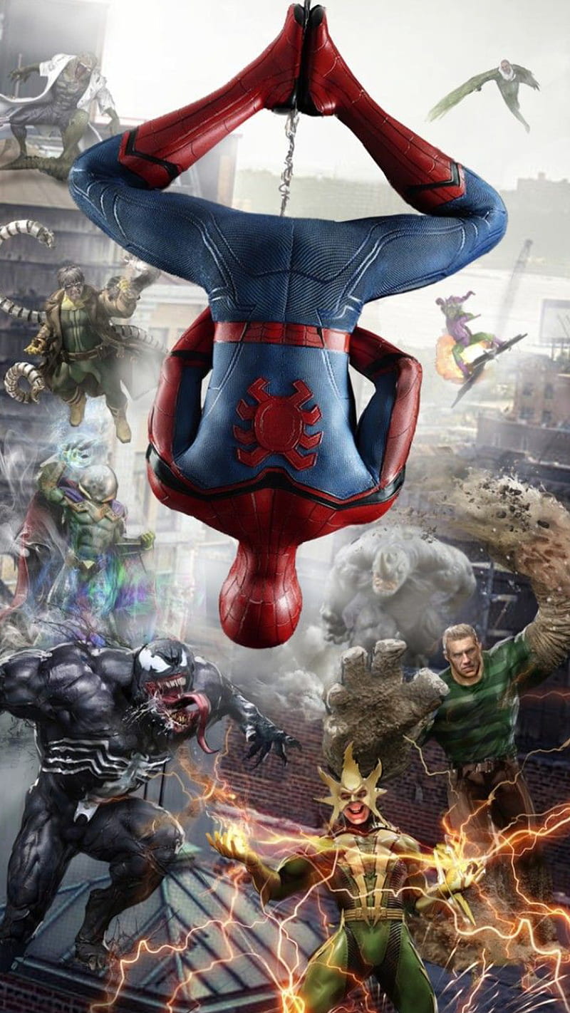 Spiderman, spider, man, venom, flash, marvel, heroes, super, HD phone wallpaper