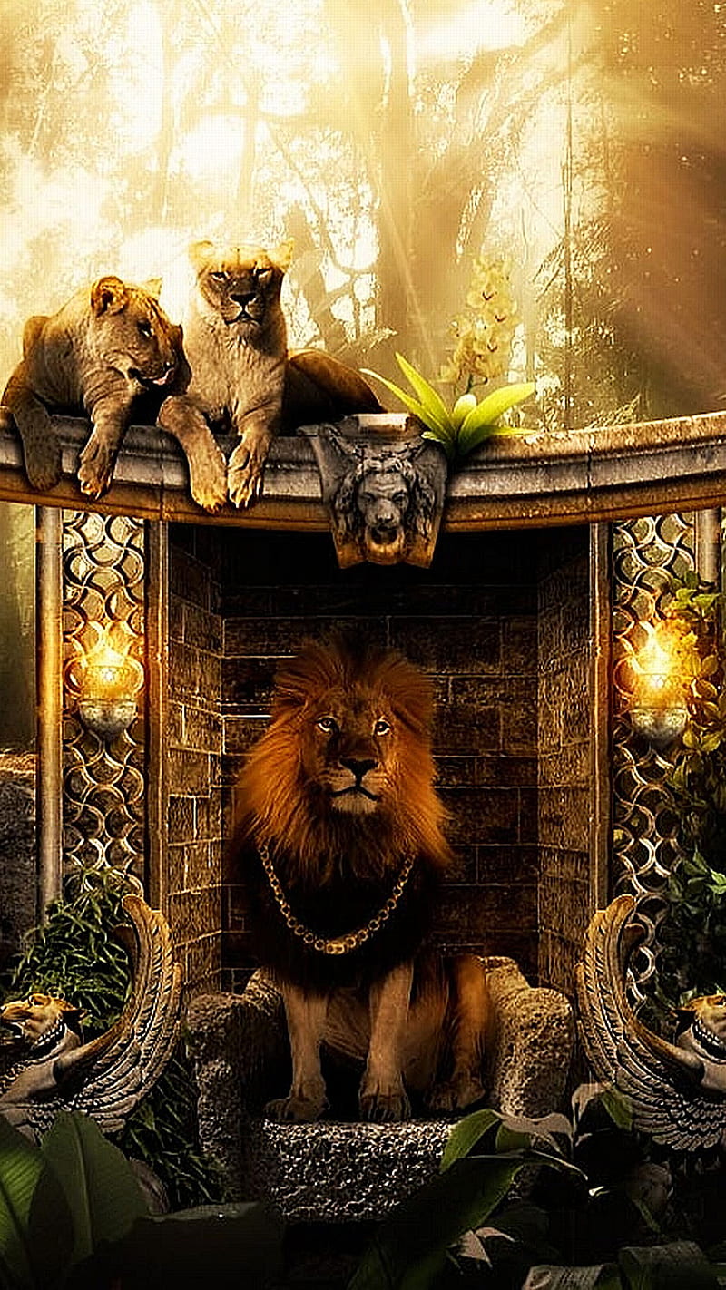 King of the jungle, 3d, animal, leaves, lion, nature, stones, tree, wild, HD  phone wallpaper | Peakpx