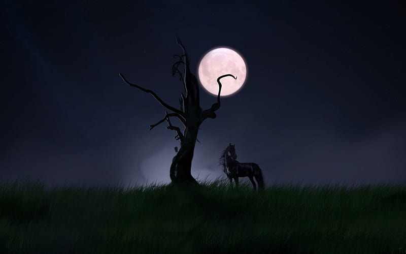 Lonliness for horse, tree, moon, horse, night, HD wallpaper